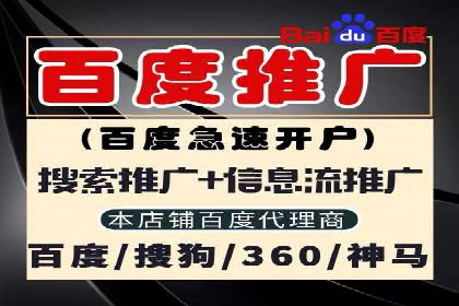 某某企业SEM营销案例：从SEM到全渠道营销的转型之路